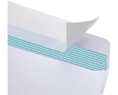 #10 Double Window SELF Seal Security Envelopes - for Invoices, Statements & Documents, Security Tinted - EnveGuard, Size 4-1/8 x 9-1/2 -White - 24 LB - 500 Count