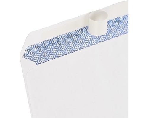 #10 Security-Tinted Self-Seal Business Letter Envelopes, Peel & Seal Closure - 500-Pack, White #10 Security-Tinted Self-Seal Business Letter Envelopes, Peel & Seal Closure - 500-Pack, White