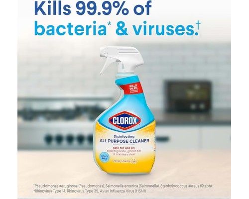 Clorox Disinfecting All Purpose Cleaner